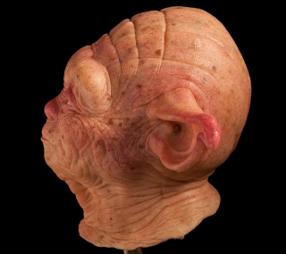 Illustration for article titled This is what Yoda would like as a human being. Yikes.